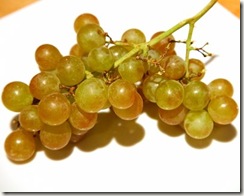 muscat grapes thumb WINE 101 OTHER GREAT WHITE GRAPES